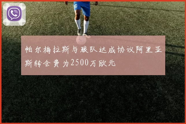 帕尔梅拉斯与狼队达成协议阿里亚斯转会费为2500万欧元